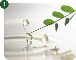 数ある和漢植物の中でも「保湿力」「保水力」にこだわって厳選した植物を使用