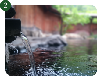 ワカントは浸透・保湿に優れている富山県立山連峰の温泉水を使用