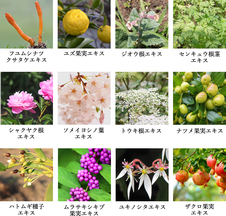 うるおう力